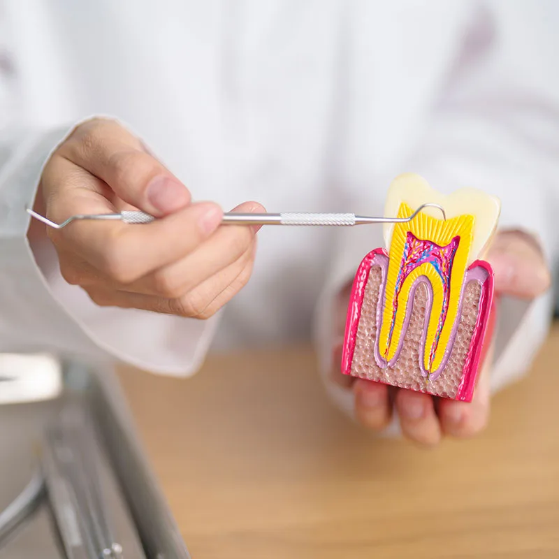 Root canal specialist at Gentle Dental Family Care in Queens, NY,